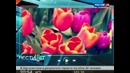 Вести. net: Марк Цукерберг проявил необычайную щедрость