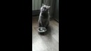 Когда захотелось кушать