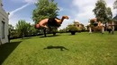 Epic Parkour and Freerunning 2013