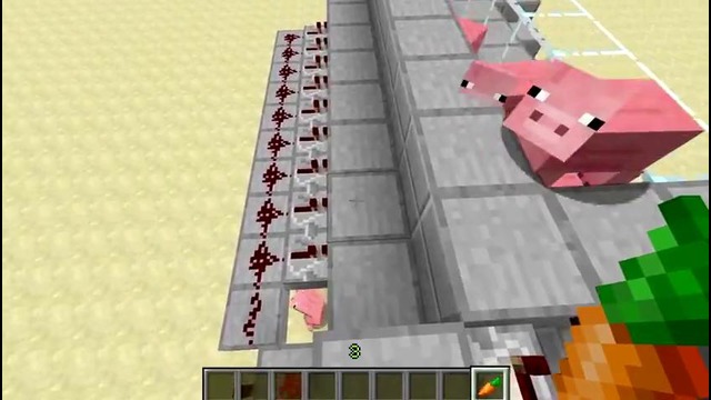 Ферма свиней