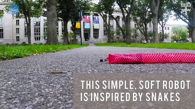 3DNews Daily 993: iSIM в чипах ARM, гибкий робот-змея, первый тестовый полет воздушного такси Airbus