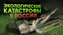 Крупнейшие эко-катастрофы в россии
