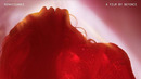 RENAISSANCE A FILM BY BEYONCE