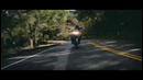 Zedd ft. Matthew Koma & Miriam Bryant – Find You (Dash Berlin Remix)(Official Video)