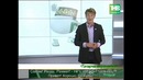Учим татарский язык! (урок №4)