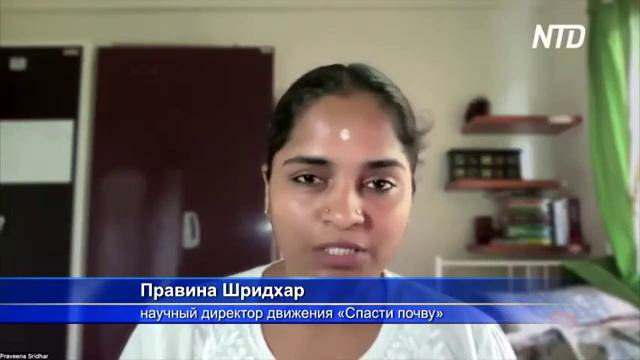Как здоровье почвы влияет на питательность нашей еды