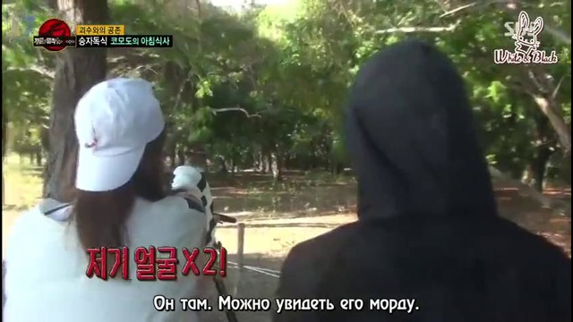 Law of the Jungle in Komodo (SEVENTEEN, EXID) – Ep.278 [рус. саб] (5)