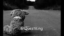 QuestKing – Дух лета