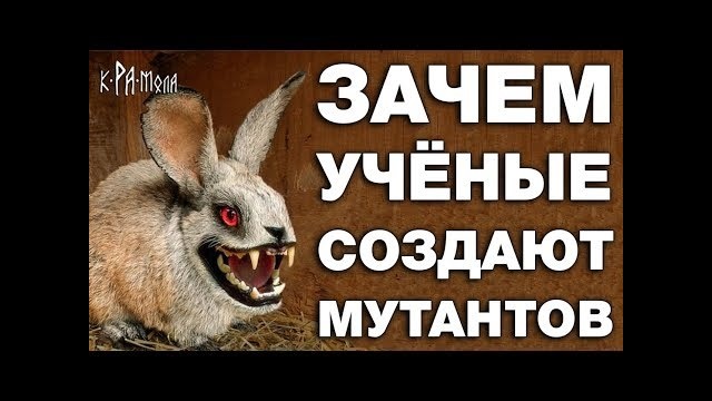 Топ 7 животных созданных человеком