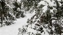 Выжить после селфи (6 серия из 6)