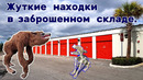 Жуткие находки в заброшенном контейнере. И айфон