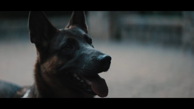 Zeds Dead x DISKORD x Reija Lee – Blood Brother (Official Video 2017)