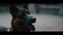 Zeds Dead x DISKORD x Reija Lee – Blood Brother (Official Video 2017)