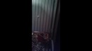 Общение с зеркалом