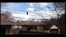 Енот научился ходить по проводам