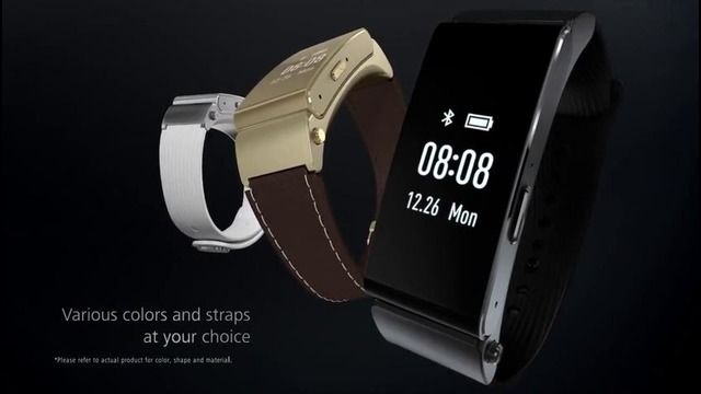 Huawei TalkBand B2