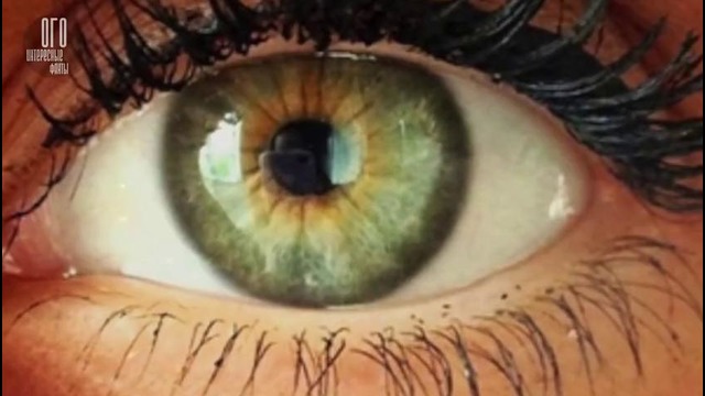 17 потрясающих фактов о глазах человека