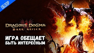 ОБЗОР ИГРЫ ● Dragons Dogma Dark Arisen