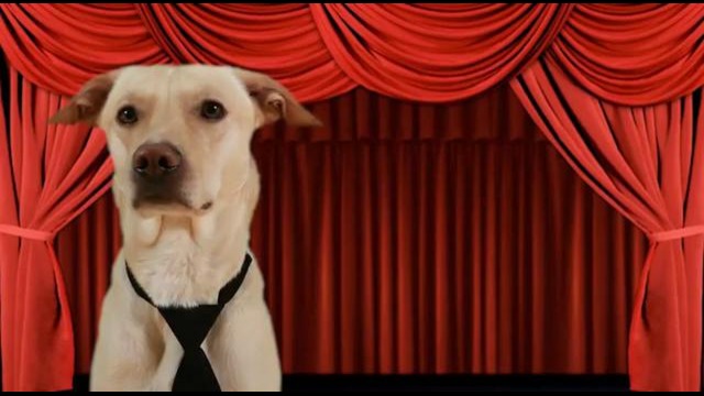 Шарик Шоу – Серьезная Драка (выпуск 36)