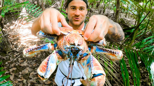 Giant Coconut Crab #shorts