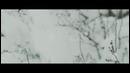 Алишер Тайр – Мама ты ждала official