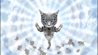 Run The Jewels – Meowpurrdy feat. Lil Bub, Maceo, Delonte (Official Music Video)
