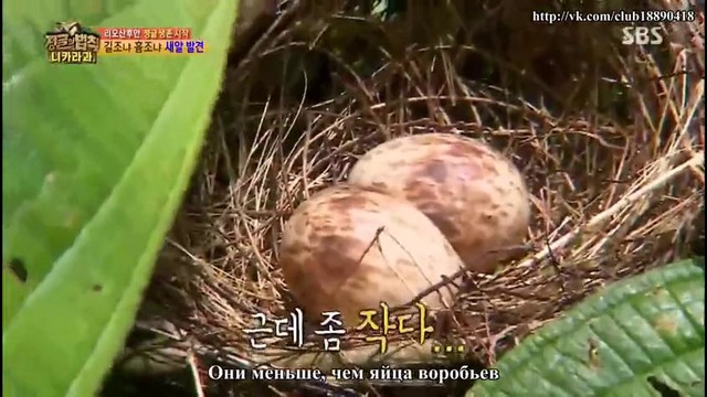 Law of the Jungle in Nicaragua – Episode 4 (181)