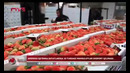 АҚШ га 10 турдаги маҳсулотлар экспорт қилинади