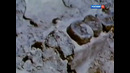 По следам тайны. Откуда пришёл человек. Документальный фильм
