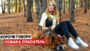Короче говоря, собака спасатель