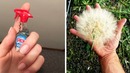Люди, которые заметили необычные вещи