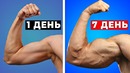 10 способов быстро накачать бицепс