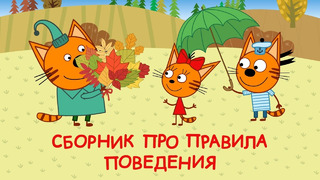 Три Кота | Сборник про правила поведения | Мультфильмы для детей