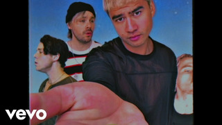 5 Seconds of Summer – Wildflower (Official Video 2020!)
