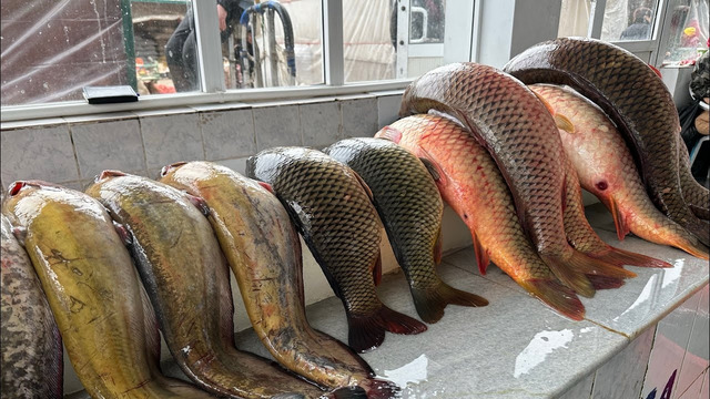 Самый Большой Рыбный Рынок Узбекистана