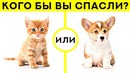 ТЕСТ НА ПСИХИКУ/ узнай кто ты на самом деле