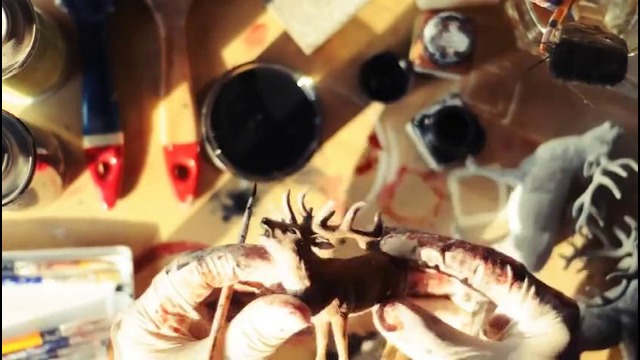 Wild Culture – For Everything (Official Music Video)