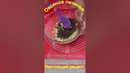 Овсяное печенье #cooking #cake #еда #recipe #рецепты #bakingtips #вкусно #bakingideas #bakingrecipes