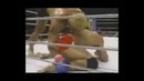 DWells Fight Club