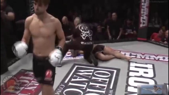 Тхэквондо в ММА. Топ-8 лучших нокаутов и моментов