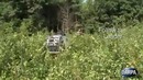 Четвероногий «друг» DARPA робот собака