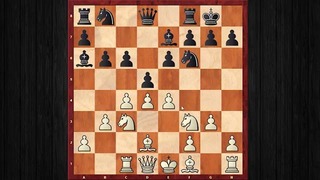 Kasparov, kasparov vs anand
