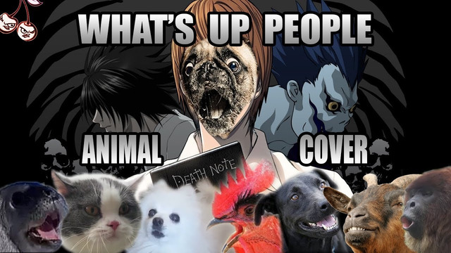 Maximum The Hormone – What’s Up People (Animal Cover)