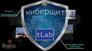 Информационная система tLab