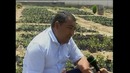 Diyor bo`ylab