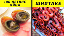 10 Самых Странных Блюд, Которые Едят в Китае