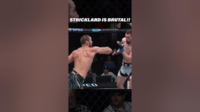 Sean Strickland is BRUTAL