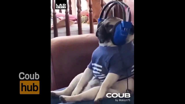 Best Cube Gifs With Sound #76