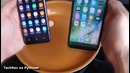 Кипятим samsung galaxy s8+ и iphone 7 plus – как это возможно