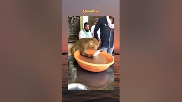 Videoni soat nechchida ko’ryapsiz? #shorts #tiktokvideolar #rek